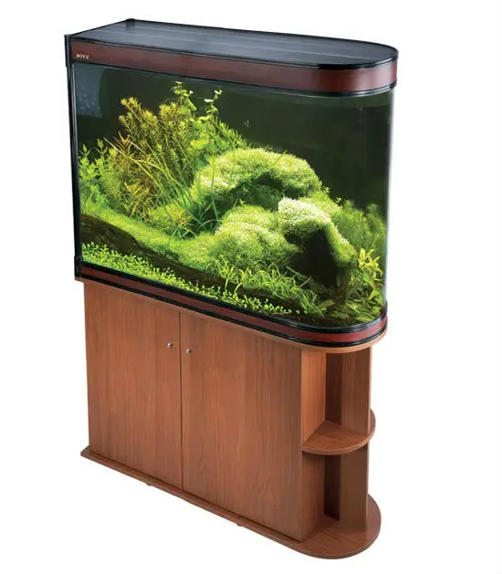 Curved Large Glass Aquarium Tank With Moden Design Buy Curved Glass