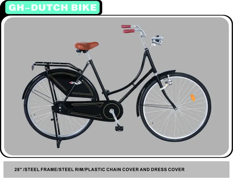 GH-DUTCH BIKE.jpg