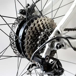 rear wheel electric bike conversion kit