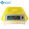 poultry egg incubator AI-48 incubator used turtle eggs for sale