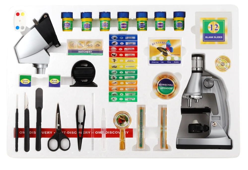 paste-pic-dp_uuid_99vq4