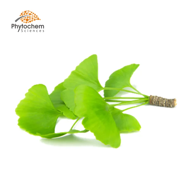 ginkgo flavone lactones