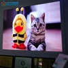 wide viewing angle COB P2.5 led screen