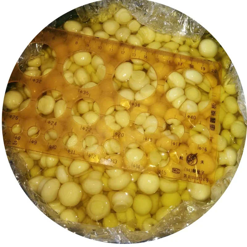 Champignon mushroom in drum.jpg