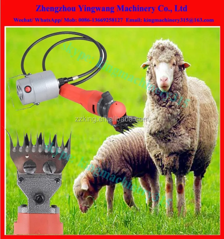 High Efficient Sheep Shearing Machine For Sale Buy Sheep Shearing Machine,Sheep Shearing