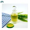 100ml embossed surface perfume diffuser glass bottles with screw top