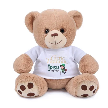 teddy bear with t shirt