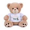 super soft plush teddy bear with t shirt for sublimation