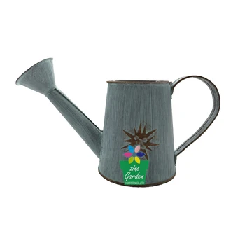 Hobby Lobby Custom Mini Decorative Galvanized Metal Watering Can Hobby Lobby Custom Mini Decorative Galvanized Metal Watering Can Whole For Kids