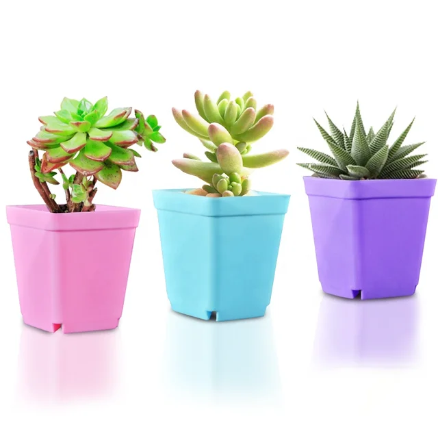 5 x Orchidee pentole FIORI VASO TRASPARENTE orchidpot dimensioni 13 cm