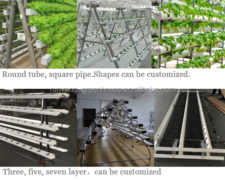 Commercial Hydroponic Growing Systems Aquaponics Systems