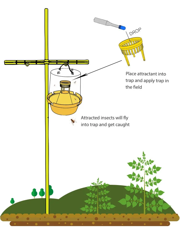 Pherobio Pheromone Mcphail Fruit Fly Trap Buy Fruit Fly,Fly Trap