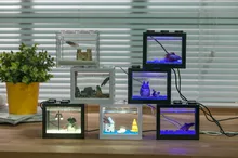 80 Design Aquarium Cupang Terbaik