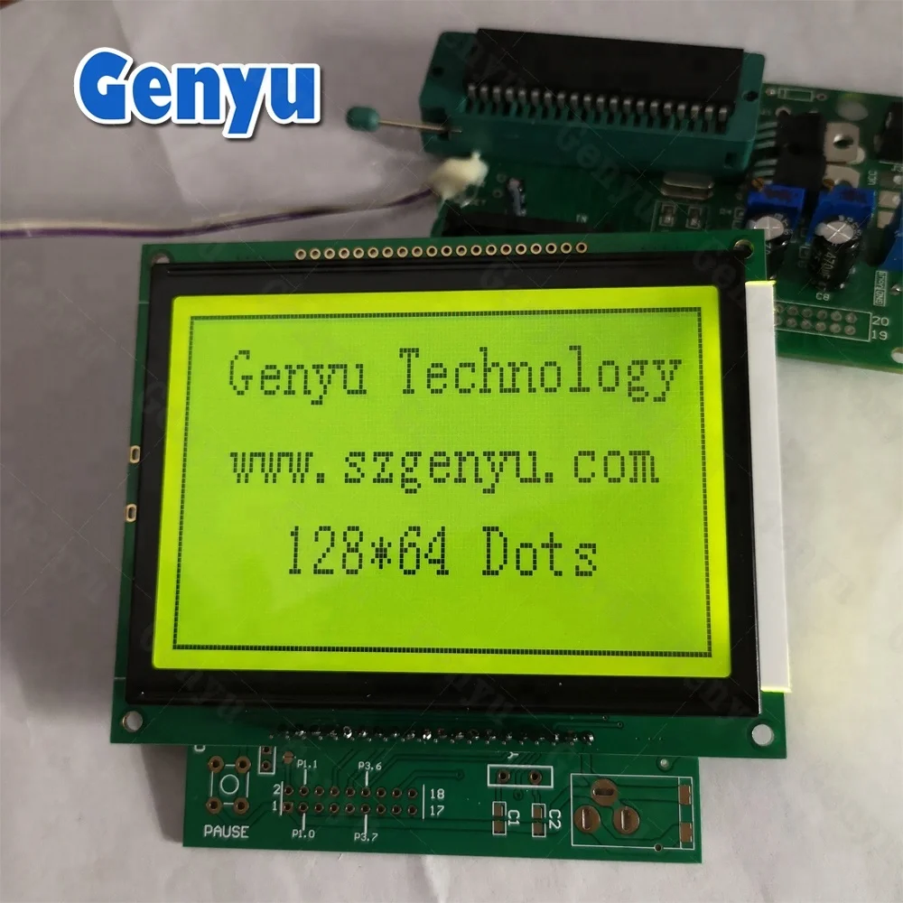 12864 LCD Module.JPG