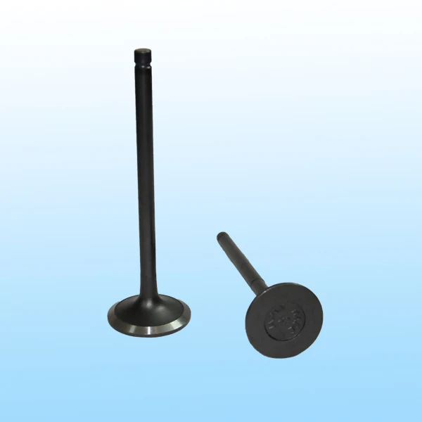 Engine Intake Valve,Exhaust Valve,Valve Seat And Valve Guide For 6wg1