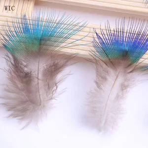 Wholesale Jewelry DIY Small Peacock Feathers