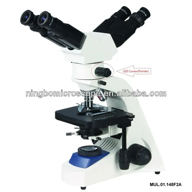 Two Handle Microscope Two Person Multi-Viewing Biological Microscope with Two Heads