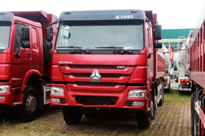Howo 8x4 Dump Truck (1)
