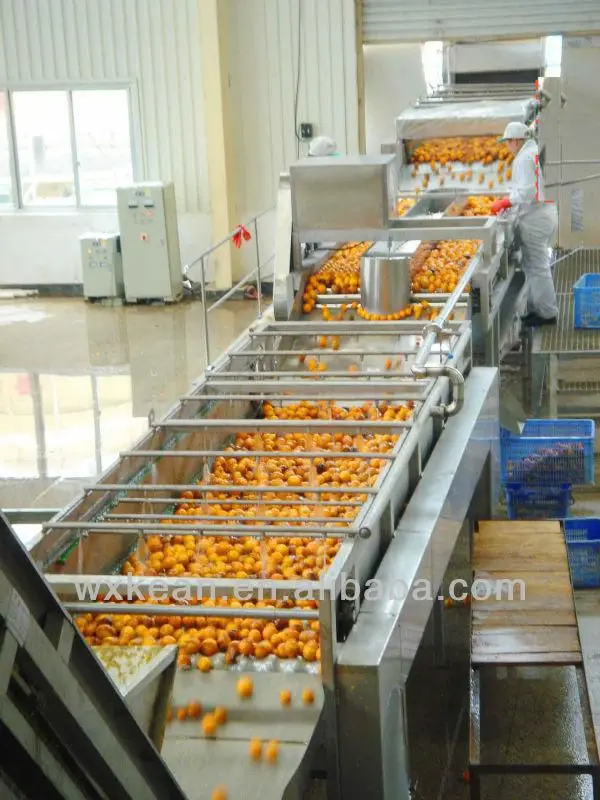 quality juice control fruit Juice Juice Concentrate Plant Fruit Orange Processing