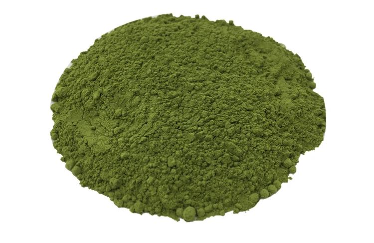 gentian-1_06.jpg