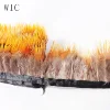 Best Price Fashionable Golden Pheasant Feather Trim