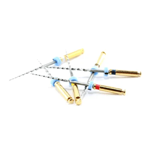 engin niti files (2)