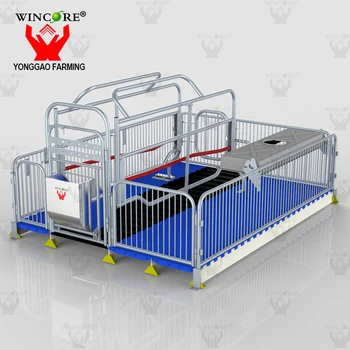 Modern Automatic Husbandry Swine Farm Sow Farrowing Crate Gestation ...