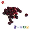TTN Bulk Cheap Wholesale Organic Import Freeze Dried Cherry Prices