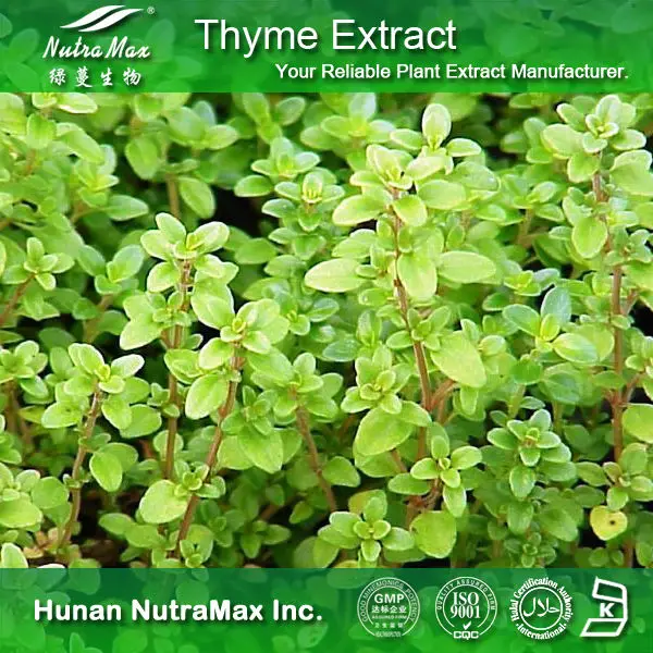 Thymus Vulgaris Extract,Thymus Vulgaris Extract Powder,Natural Thymus