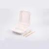 Hot sale nontoxic cane syrup biodegradable lunch box
