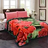 /product-detail/hot-selling-plush-soft-king-size-floral-printed-raschel-korean-mink-blankets-60764200162.html