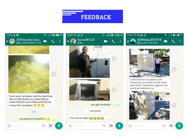 2023 Customized Design 8448 Automatic Incubators Blue limit Switch Egg Incubators