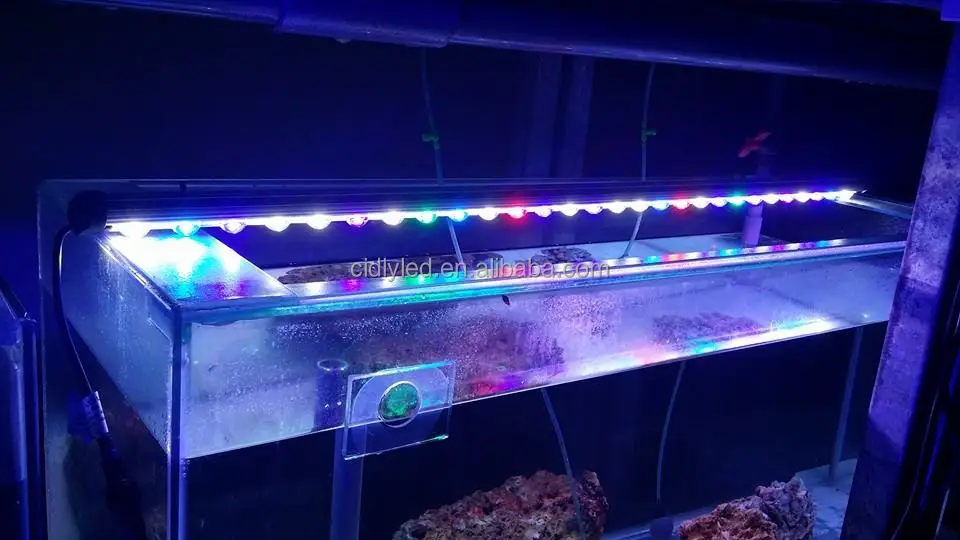 Double Lense Aquarium Led Bar Lights Cool White 14000k Blue 450nm Reef Grow 120cm Strip Light Double Lense Aquarium Led Bar Lights Cool White 14000k Blue 450nm Reef Grow 120cm Strip Light