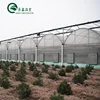 automatic vent control system monitor for film greenhouse