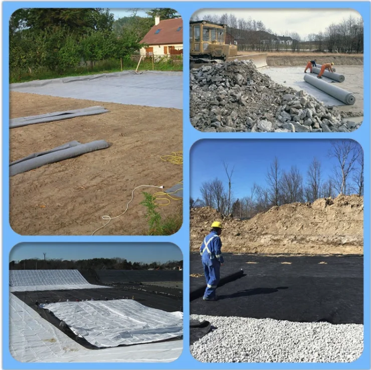 paste-pic-dp_uuid_43gsl