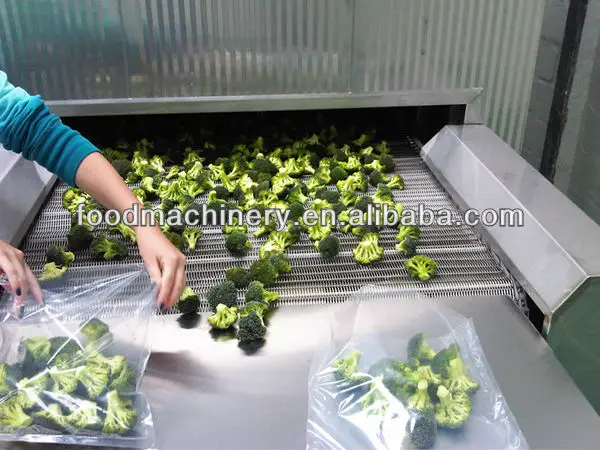 2 tunnel blast freezer.jpg