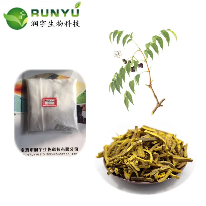 11years Professional Manufacturer Supply Bulk Amur Cork Tree Bark