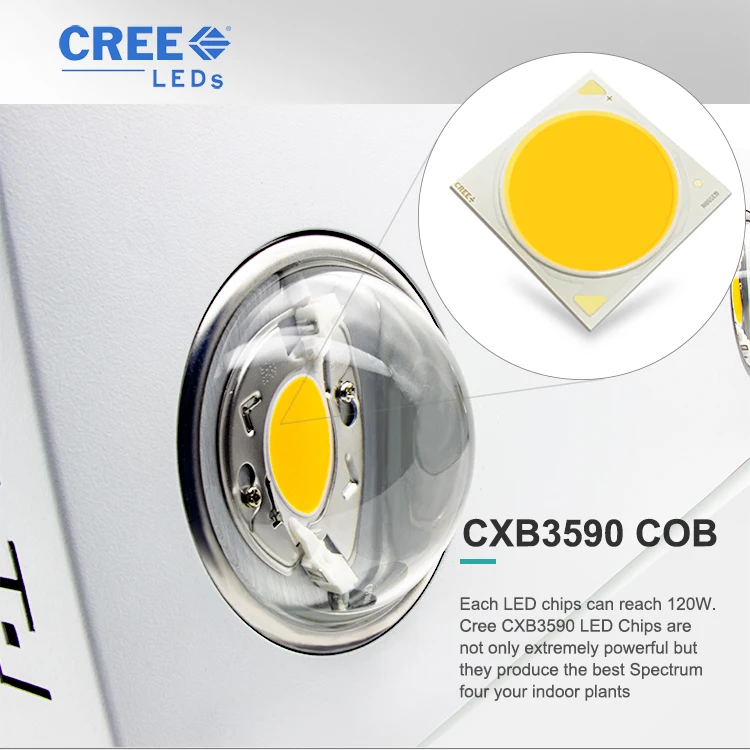 CXB3590X2II-04B