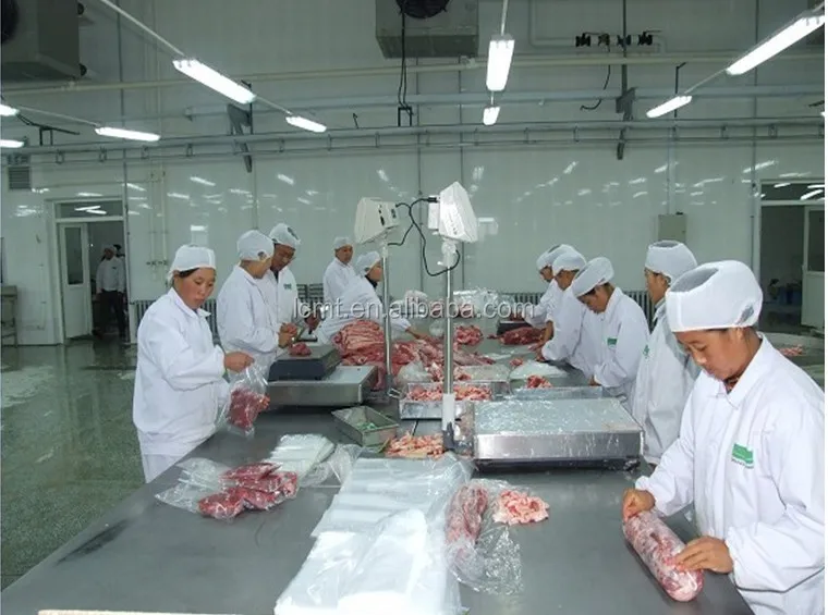 Poultry Slaughter Equipment/chicken Meat Processing Machinery /chicken