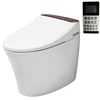 /product-detail/intelligent-american-standard-indian-toilet-bidet-60797794383.html
