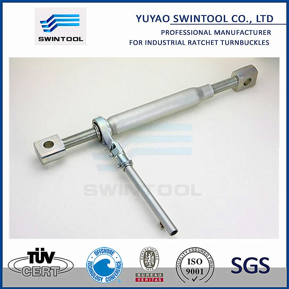 M48 Din1478 Plate Eye Ratchet Turnbuckle With Rotating Wrench