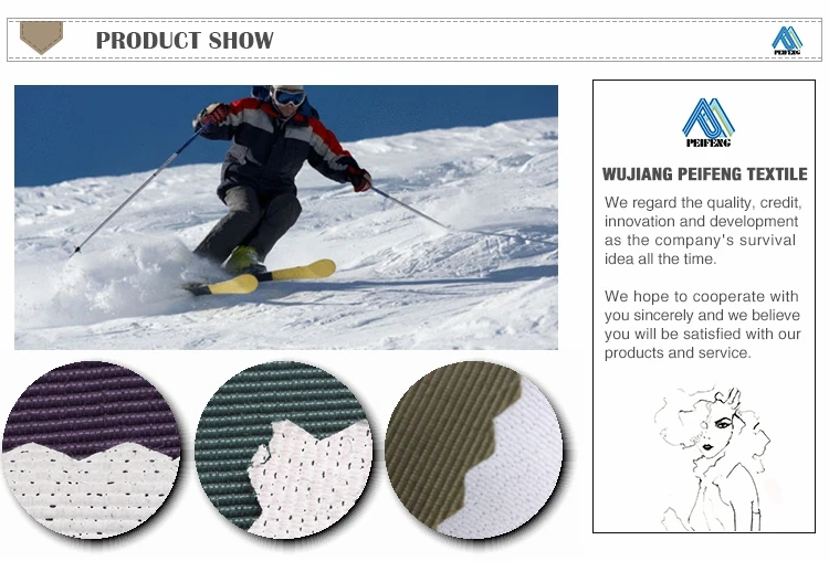 taslon sportswear fabric