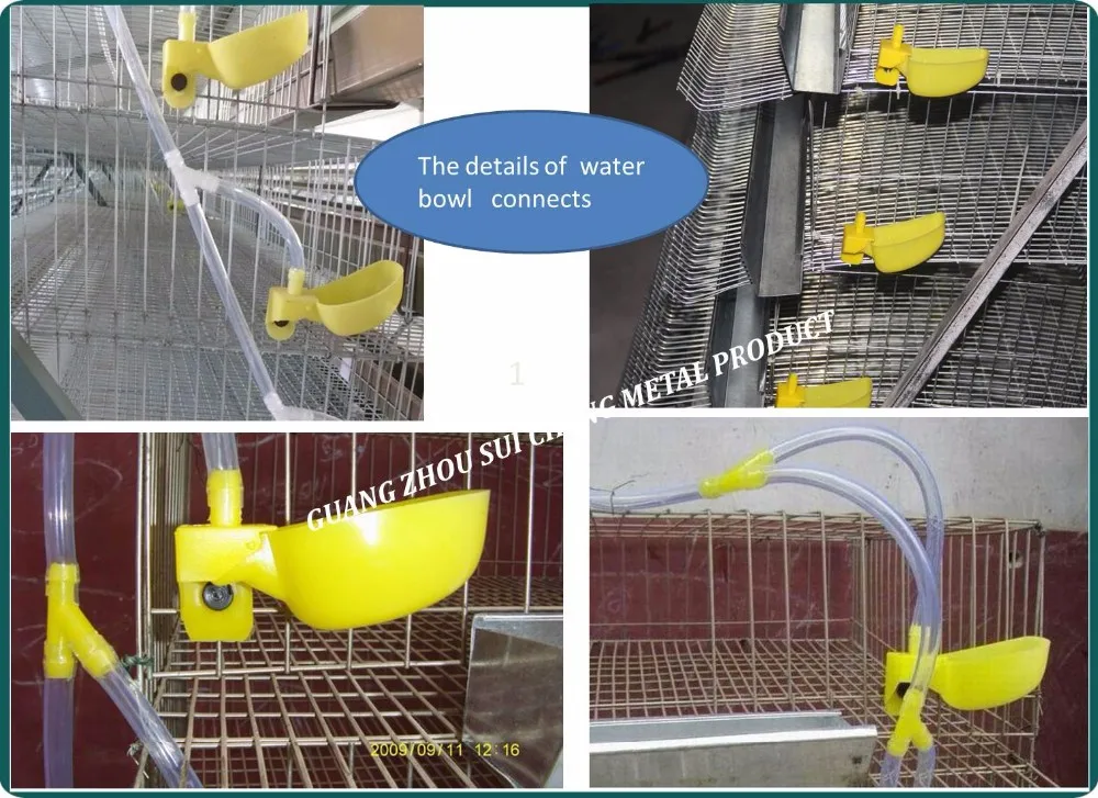 Guangzhou Factory Free Sample Quail Cage And Water System/quail Brooder