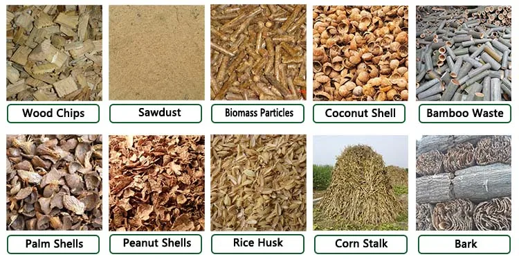 Biomass gasification process technology system