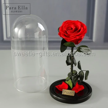 Aliexpress Russia Hot S Item One Year Roses Natural Preserved Aliexpress Russia Hot S Item One Year Roses Natural Preserved Fresh Flowers For Long Lasting