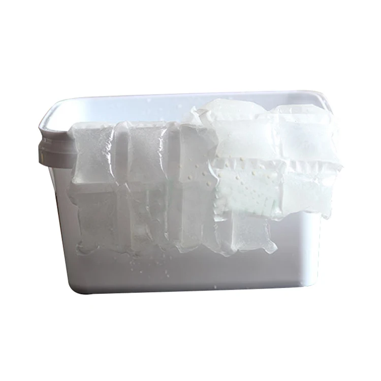 Preserving Cold Chain Seafood Fruit Reusable Gel Ice Pack for Lunch Box