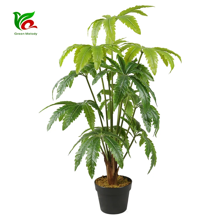 Ecofriendly Peva 0.9m Ornamental Artificial Dizygotheca Elegantissima