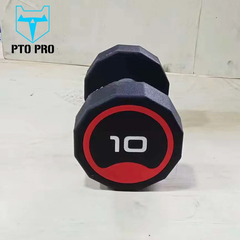 
hot sale 10kgs dumbbell set stainless steel dumbbell with cheap price 