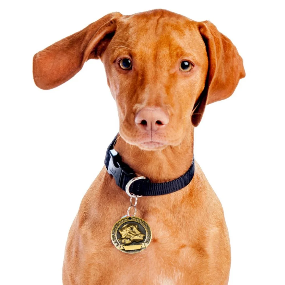 customized-nfc-qr-code-dog-id-tag-pet-id-tracking-tag-for-pet-id-collar