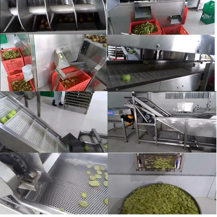 Small Scale Plantain Coconut Chips Making Production Machine Banana Chips Frying Machine Automatic details